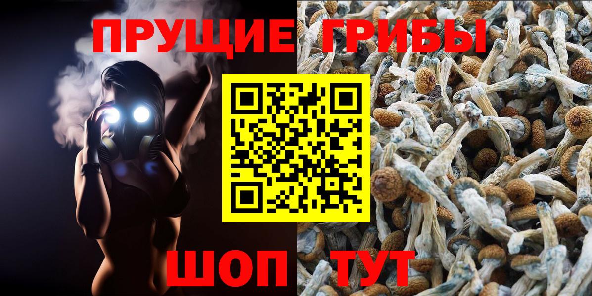 Галлюциногенные грибы прущие грибы  Вход с VPN  Избербаш 